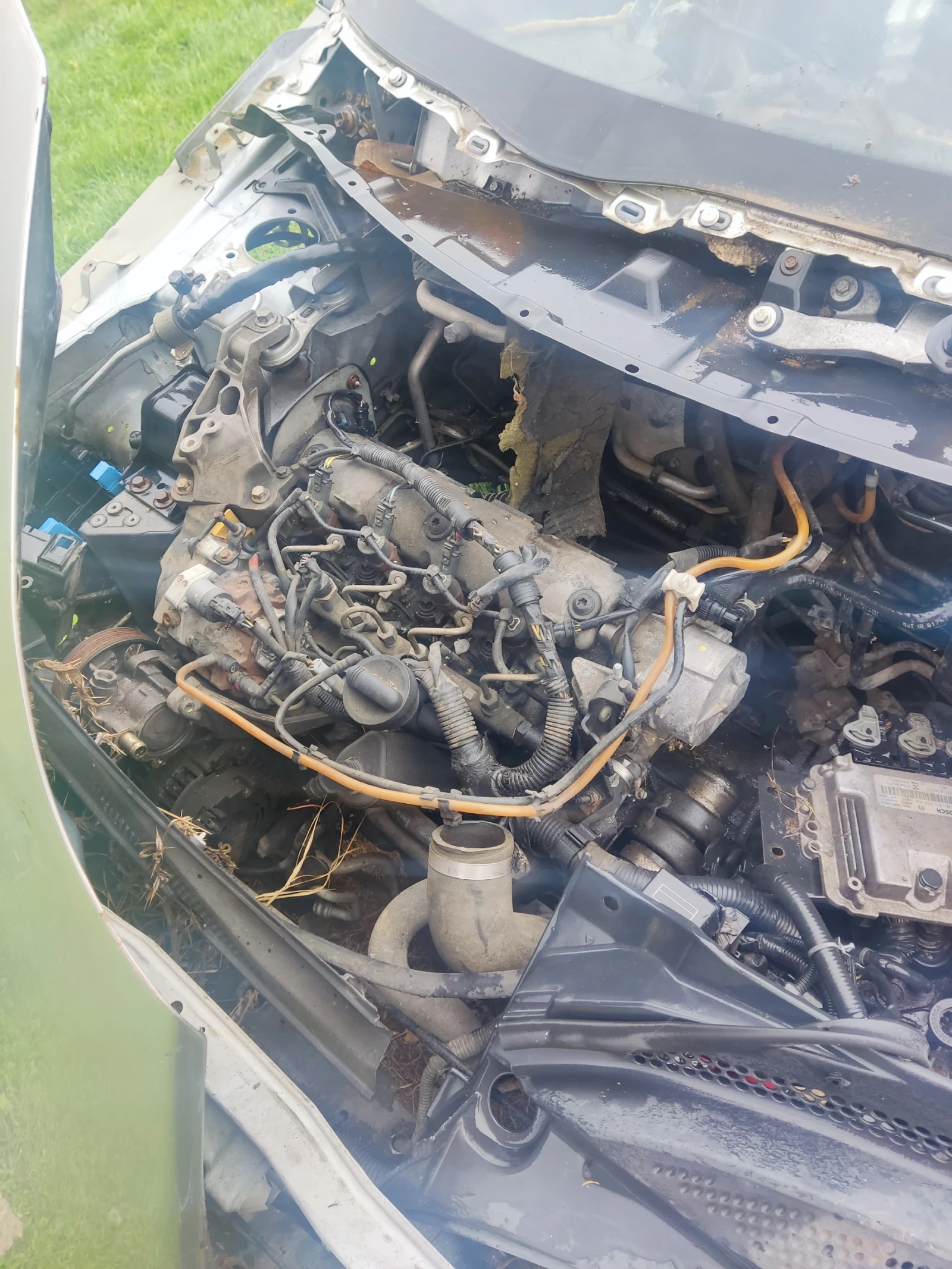 Nissan Primera  - изображение 2