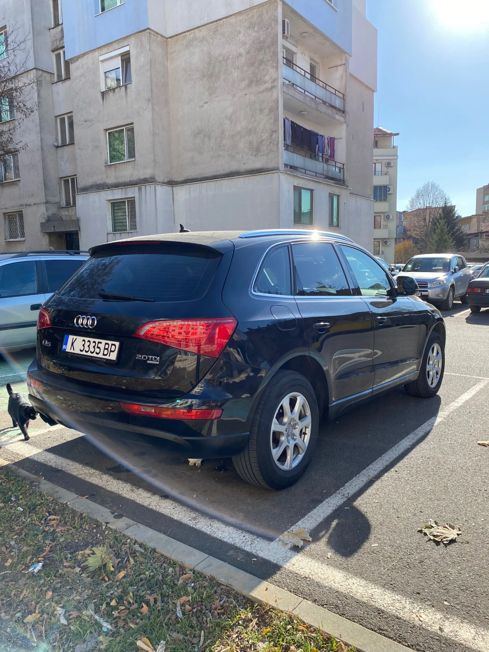 Audi Q5  - изображение 5
