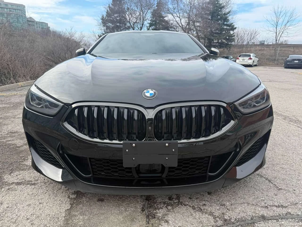 BMW 850 xDrive * ДИСТРОНИК * 360 * КАРБОН * ОБДУХВАНЕ, снимка 6 - Автомобили и джипове - 54084422