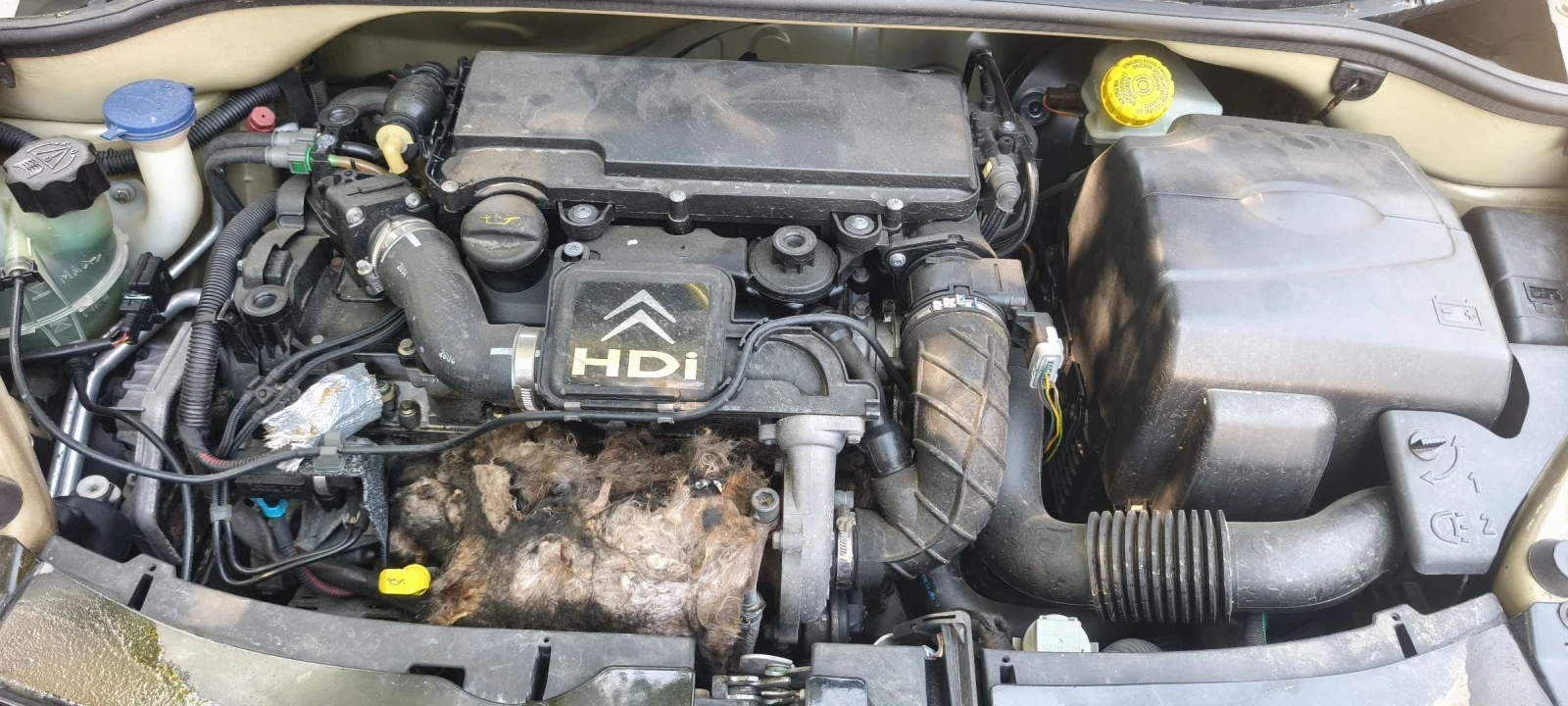 Citroen C3 1.4 HDI, снимка 14 - Автомобили и джипове - 54855195