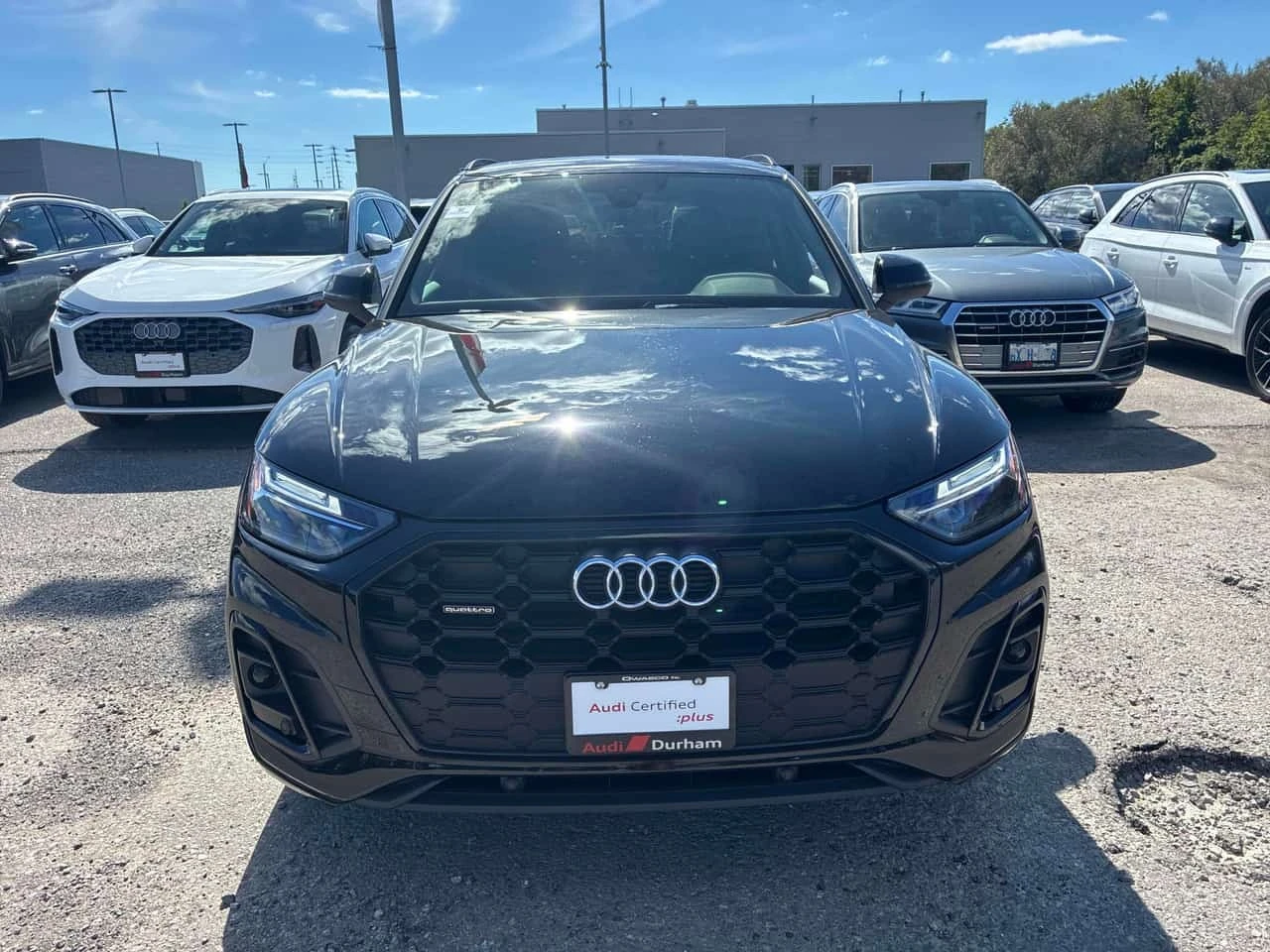 Audi Q5 * Progressiv * CARFAX * , снимка 6 - Автомобили и джипове - 56214873