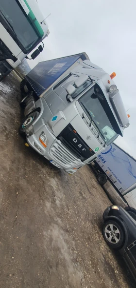 Daf FT XF 106  | Mobile.bg � ����� ������ 9