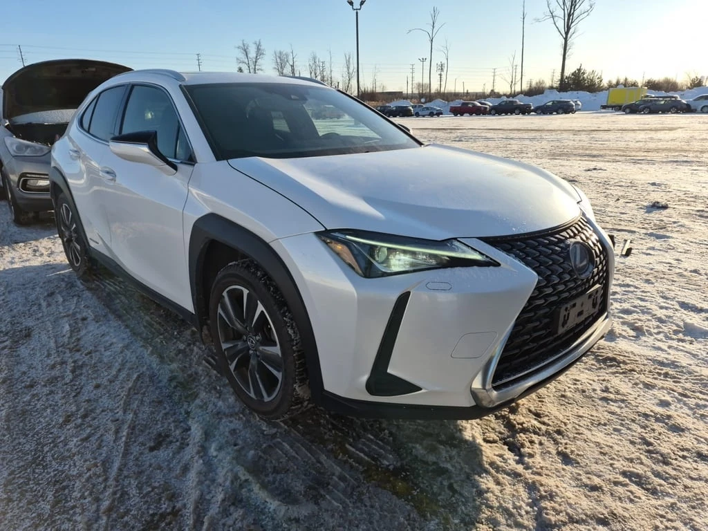 Lexus UX 250h PANO| HEATED SEATS| MEMORY - изображение 2
