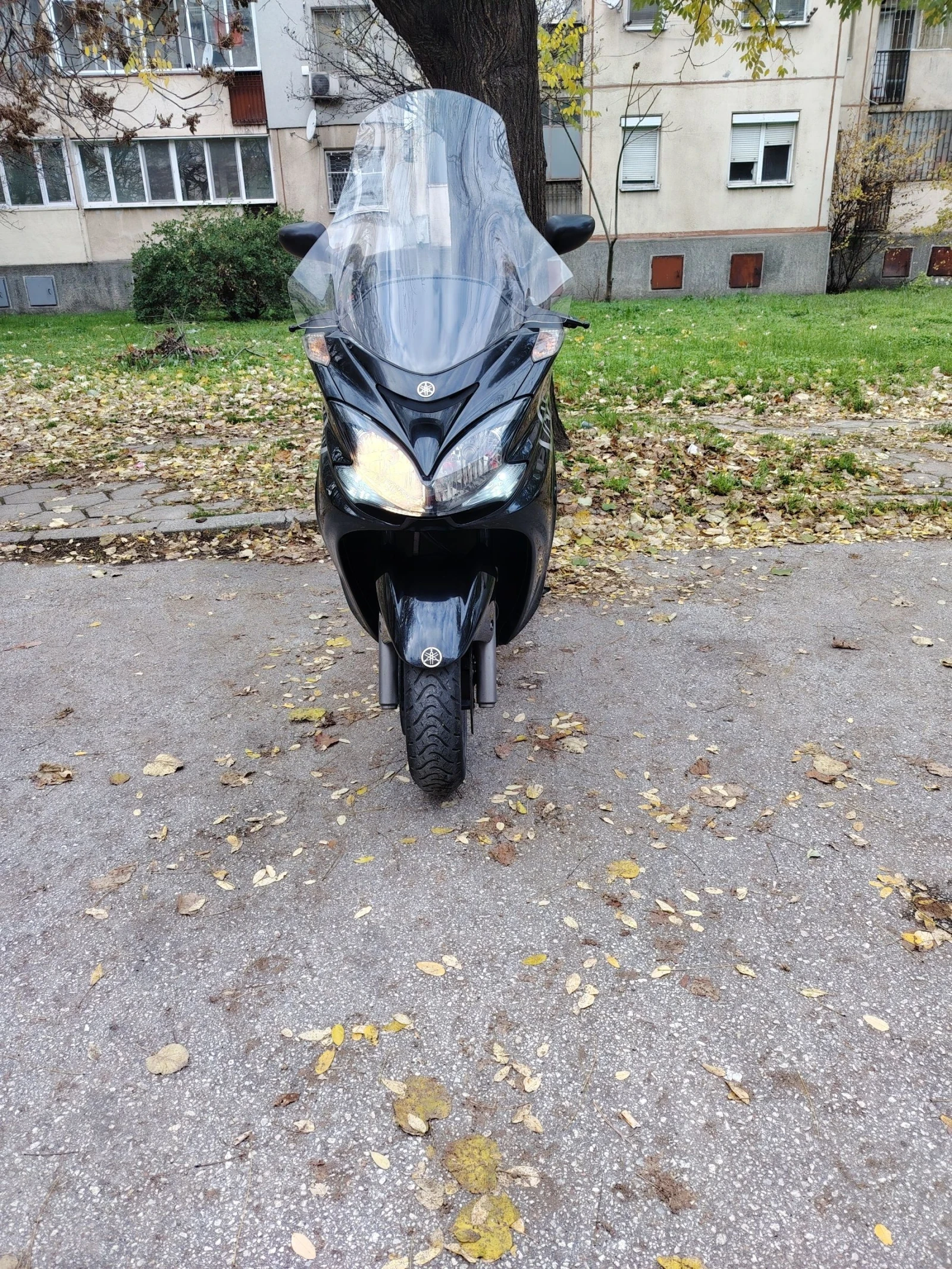 Yamaha Majesty Скутер , снимка 1