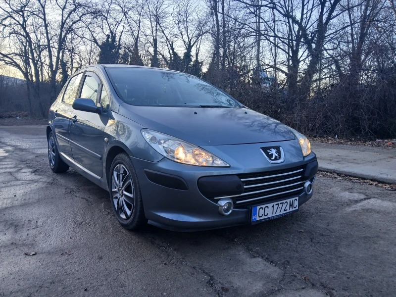 Peugeot 307 1.6HDI, снимка 3 - Автомобили и джипове - 48618578