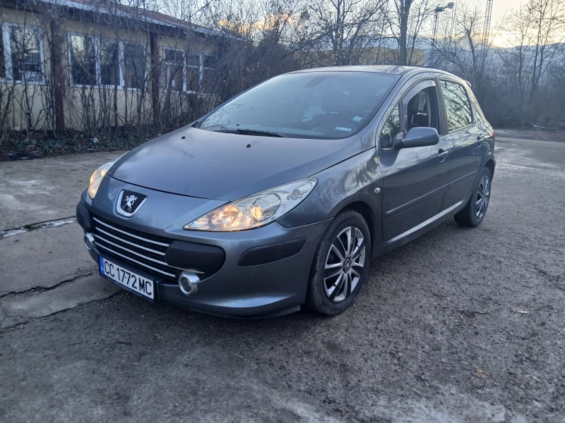 Peugeot 307 1.6HDI в Автомобили и джипове в гр. София