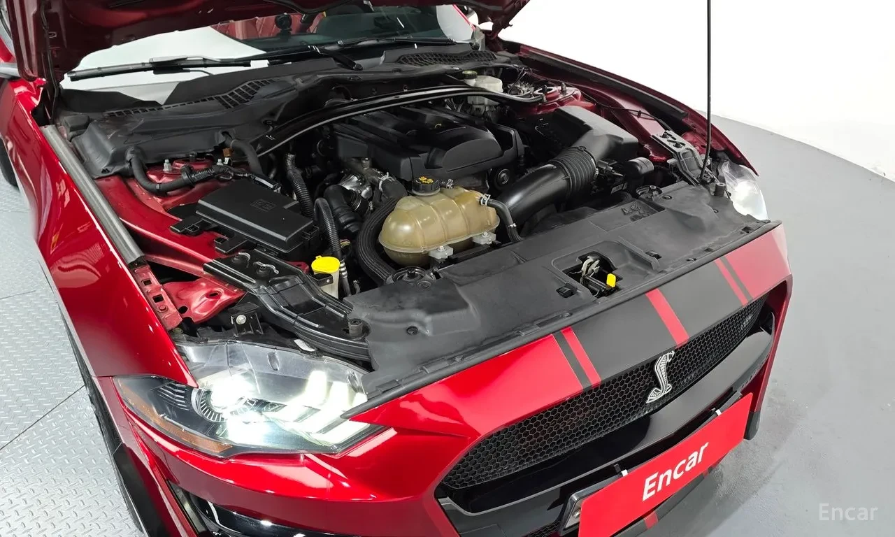 Ford Mustang 2.3 Cabrio* ������ �����* �����* ������* ACC | Mobile.bg � ����������� 7