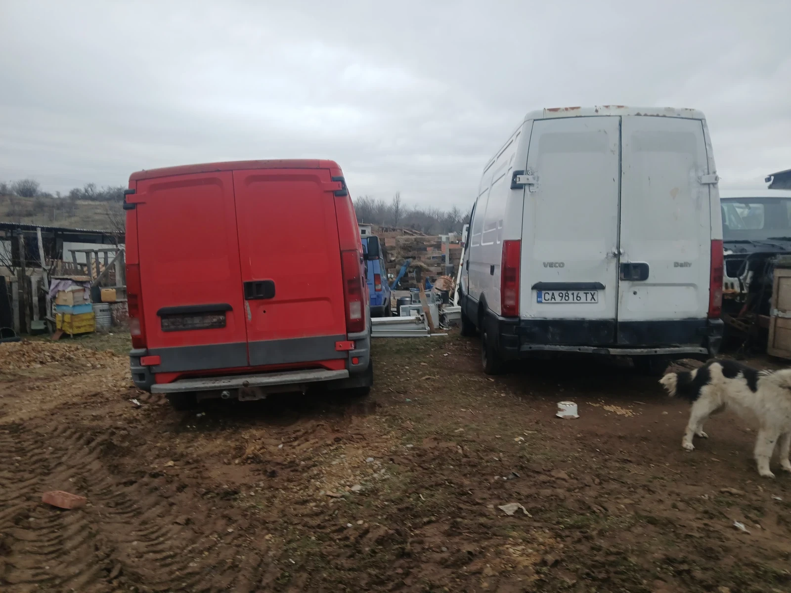 Iveco 35c11 3511 | Mobile.bg � ����������� 1