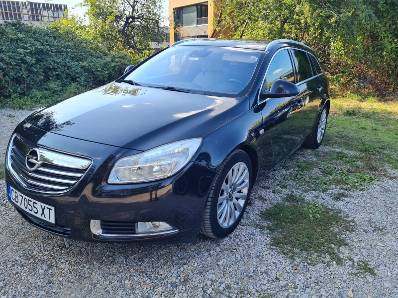 Opel Insignia Ecoflex 160, снимка 6 - Автомобили и джипове - 47962985