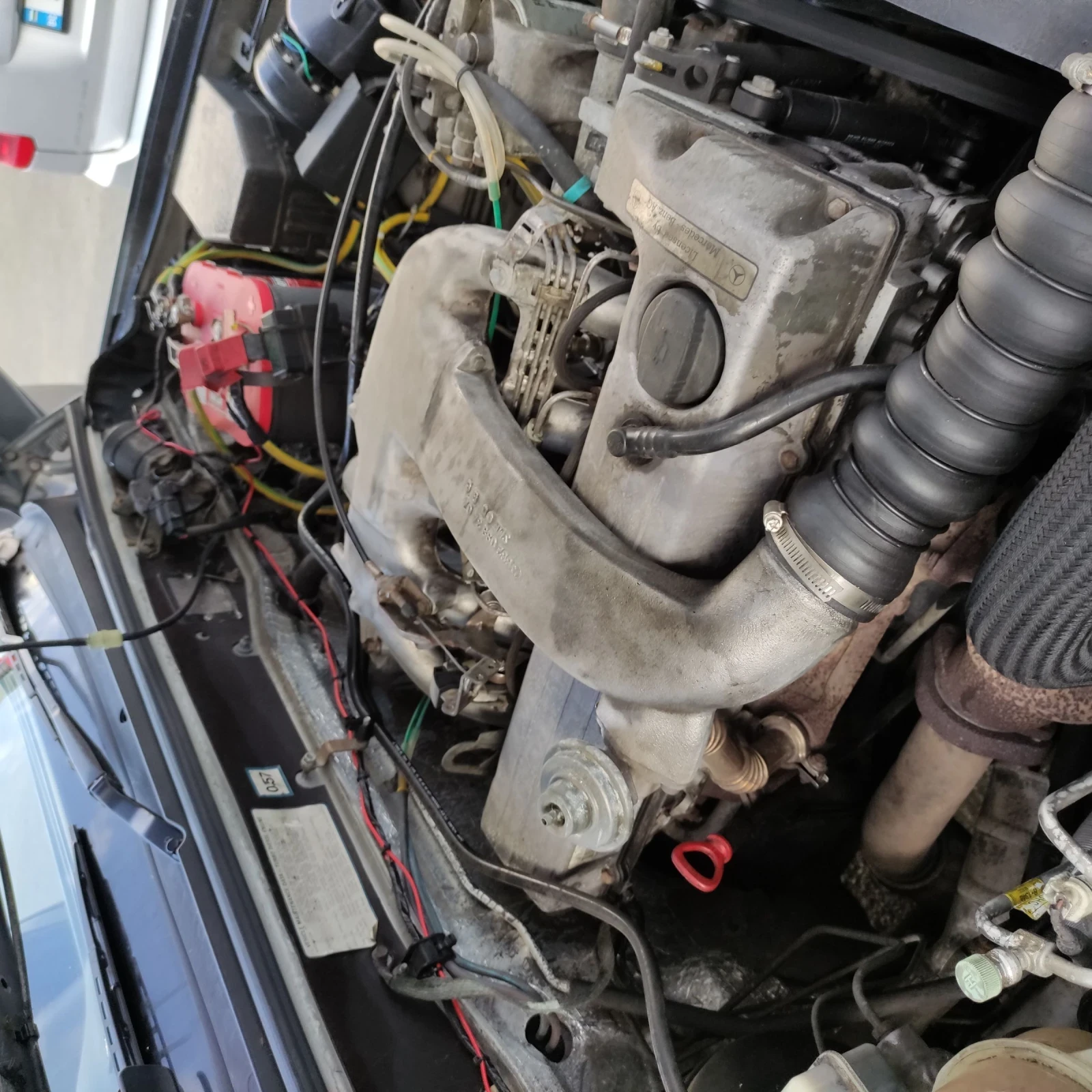 SsangYong Musso  - изображение 8