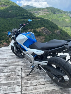 Suzuki Gladius, снимка 4
