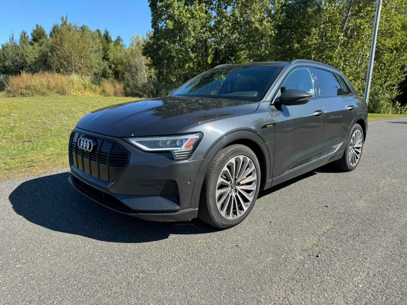 Audi E-Tron * CARFAX* АВТОФИНАНСИРАНЕ БЕЗ ПЪРВОНАЧАЛНА ВНОСКА! - 48500 лв. - 18959873 1