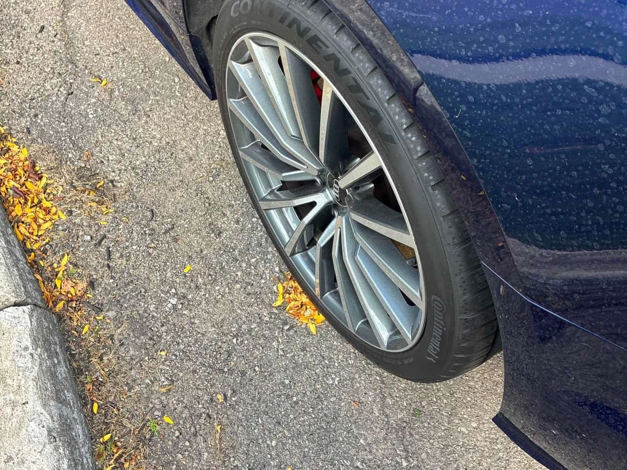 Audi A5 * Technik * CARFAX * ОПЦИЯ ЗА ФИНАНСИРАНЕ, снимка 12 - Автомобили и джипове - 56207691