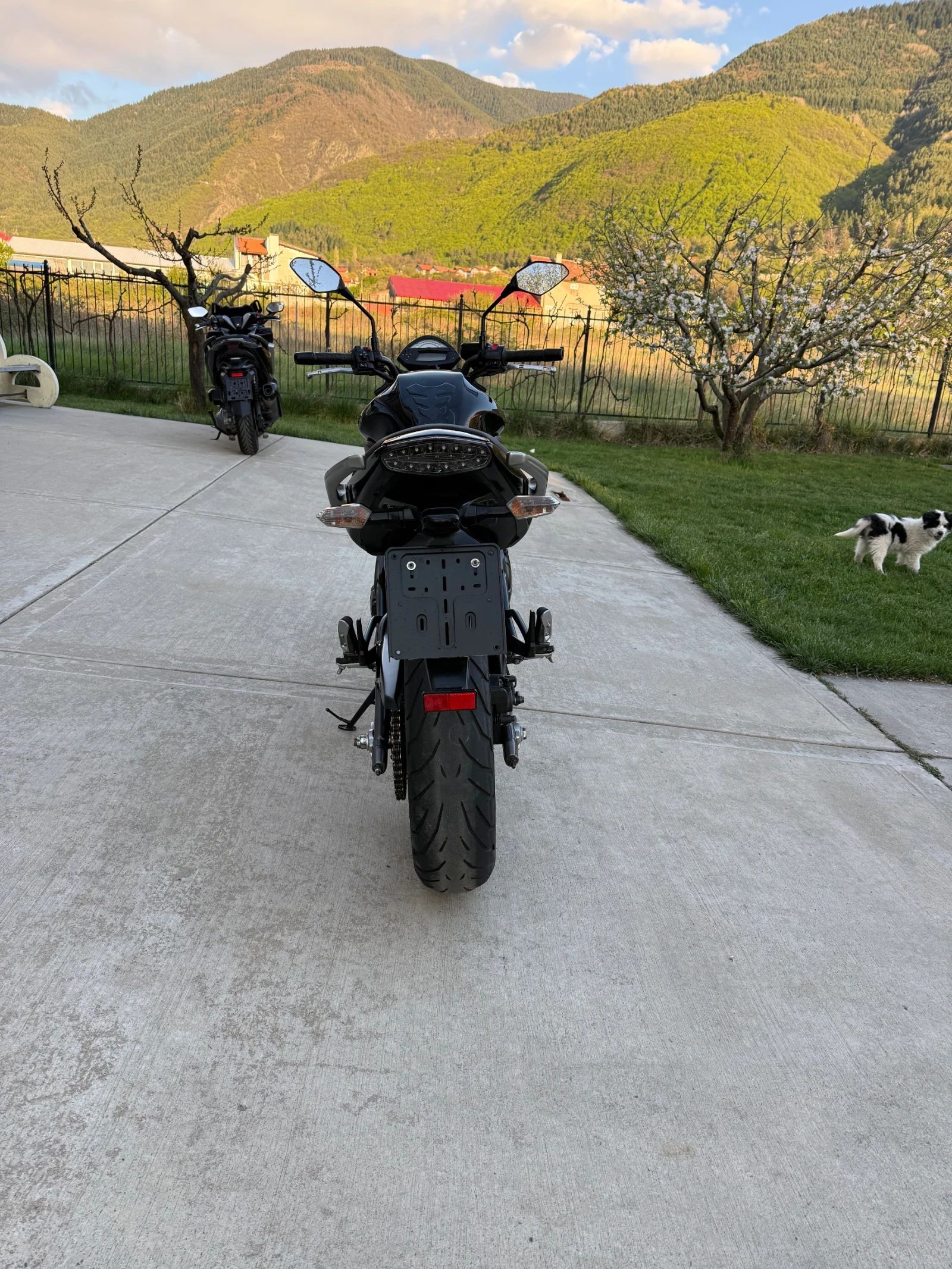 Kawasaki ER 2010 650i | Mobile.bg � ����������� 7