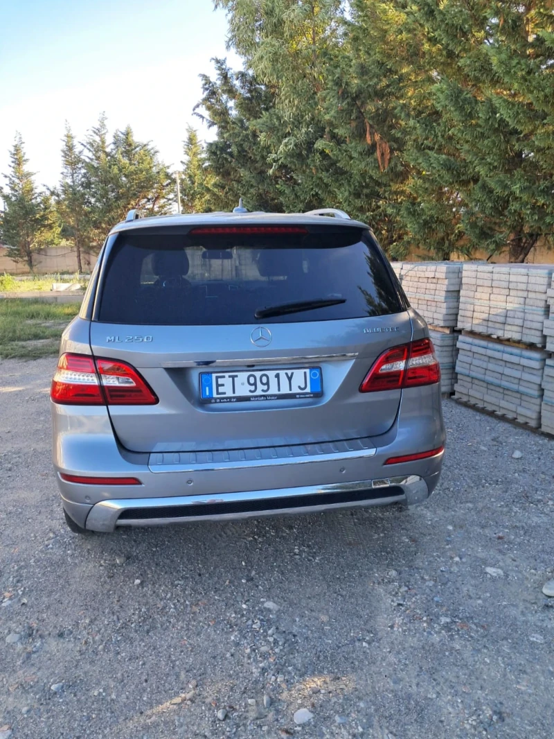 Mercedes-Benz ML 250 AMG, снимка 10 - Автомобили и джипове - 48145989