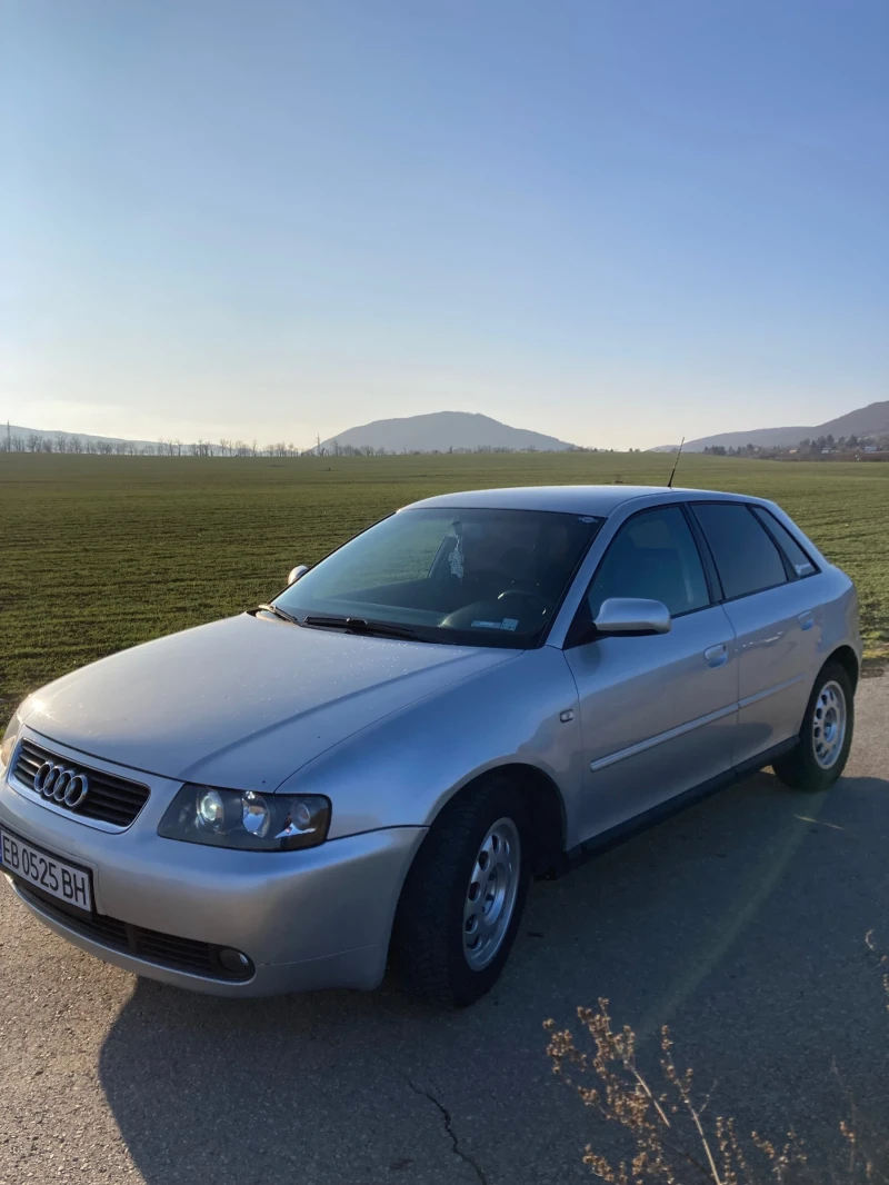 Audi A3 1.9 TDI, снимка 3 - Автомобили и джипове - 49088192