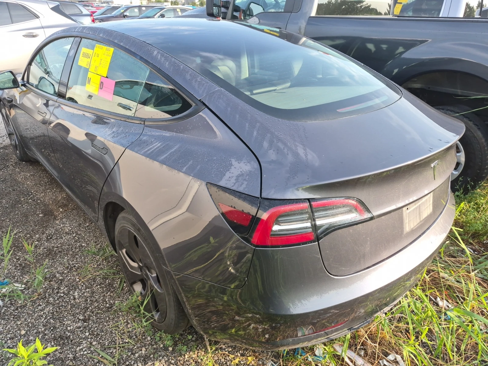 Tesla Model 3 RWD/����� �������/������ ����/��������/ | Mobile.bg � ����������� 6