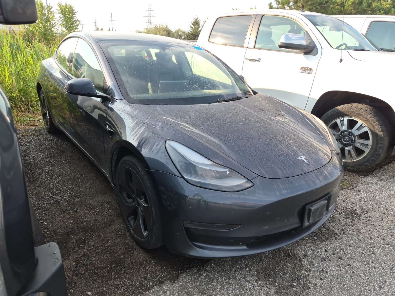 Tesla Model 3 RWD/����� �������/������ ����/��������/ | Mobile.bg � ����������� 5