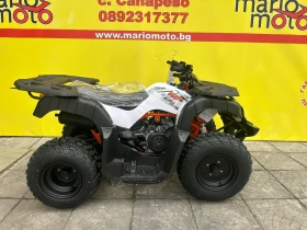 Kayo Moto Kayo Moto AU150 CVT - изображение 1