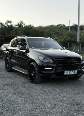 Mercedes-Benz ML 350 Bluetec, снимка 6