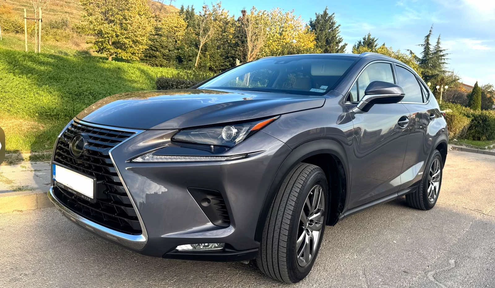 Lexus NX 300h E-FOUR AWD, EXECUTIVE PLUS - изображение 4