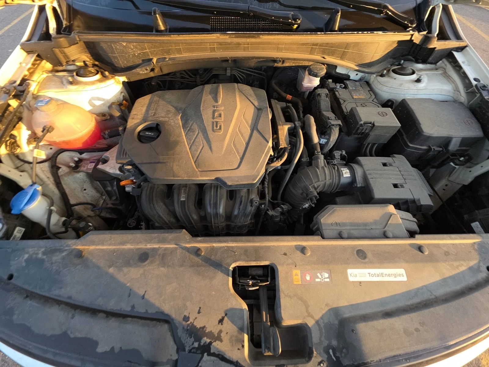 Kia Sportage LX | Mobile.bg   13