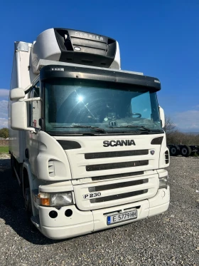     Scania P 230  