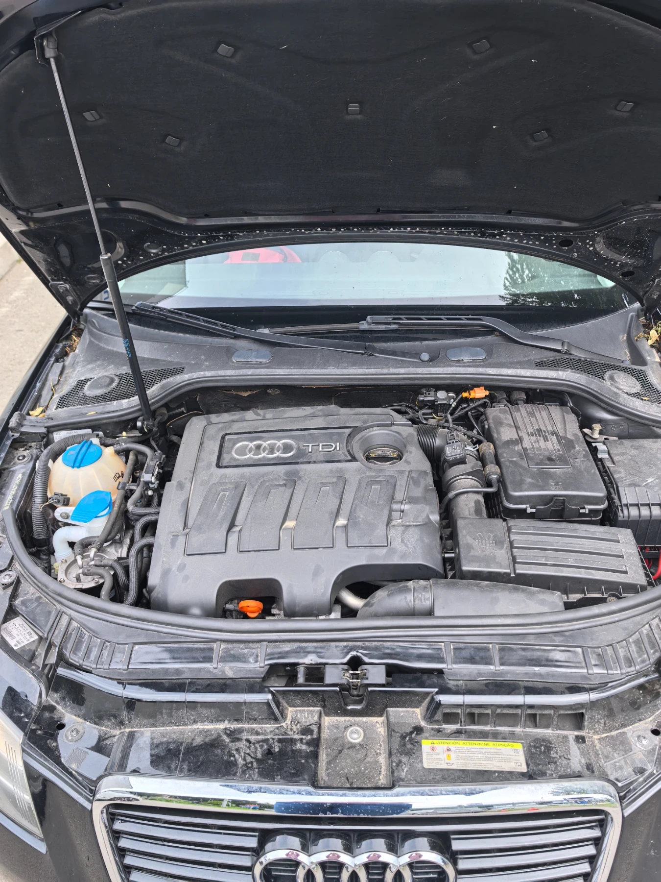 Audi A3 1.6 tdi, снимка 7 - Автомобили и джипове - 55212338