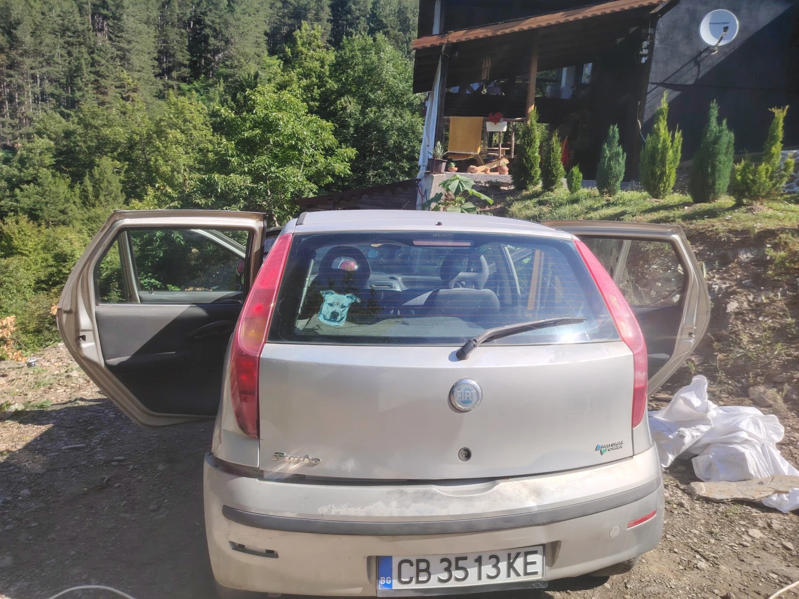 Fiat Punto, снимка 9 - Автомобили и джипове - 55386145