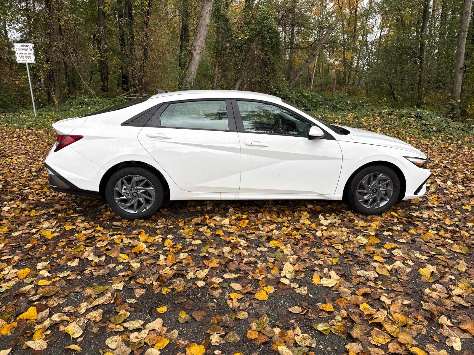 Hyundai Elantra * CARFAX *    | Mobile.bg   3