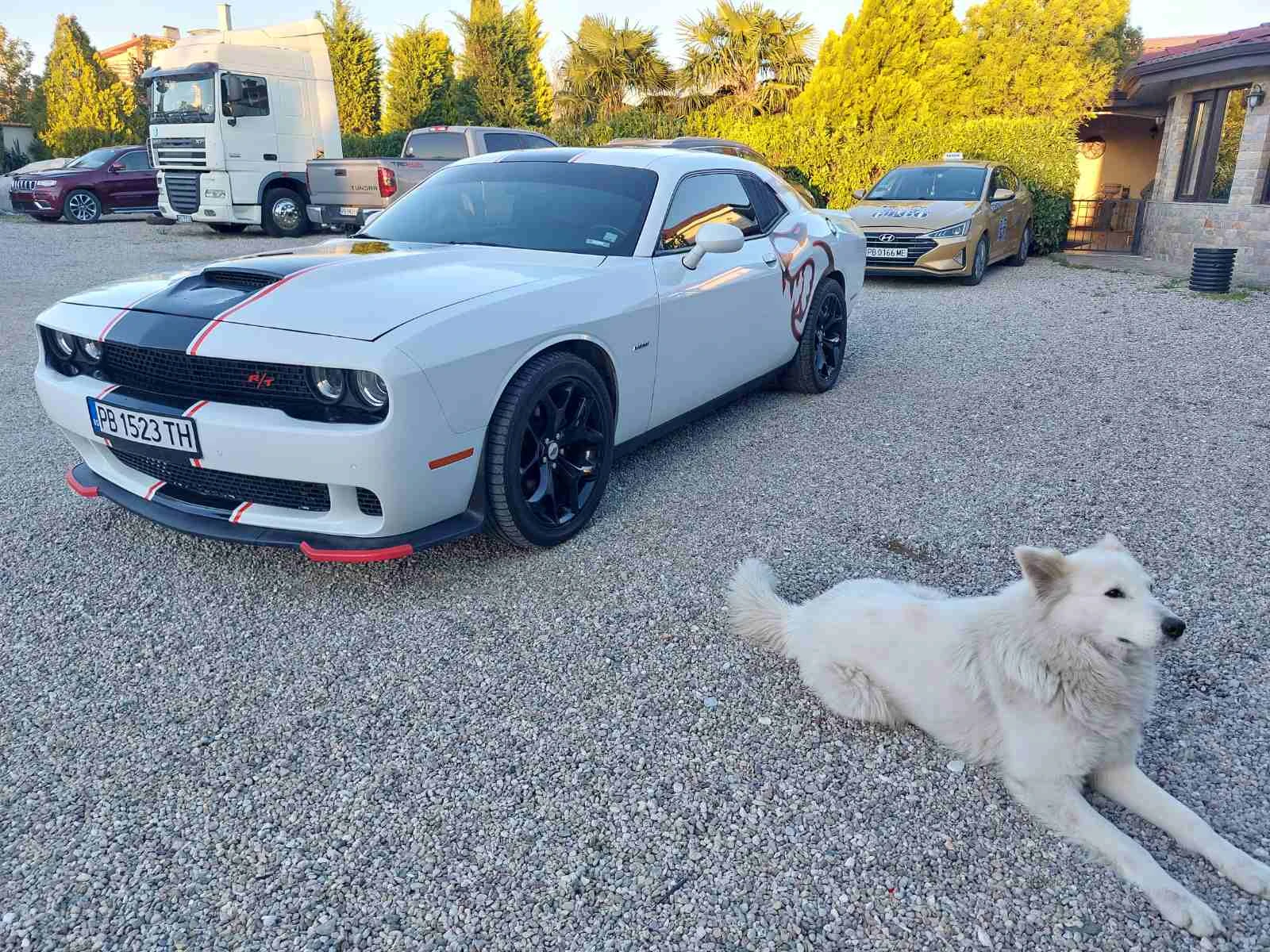 Dodge Challenger RT 5.7 HEMI, снимка 2 - Автомобили и джипове - 54146888