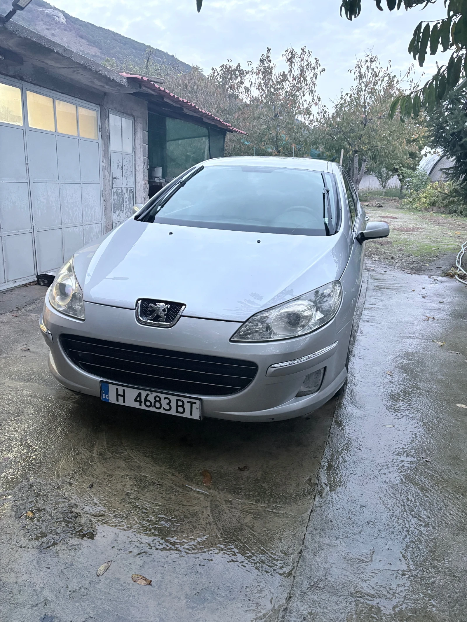 Peugeot 407