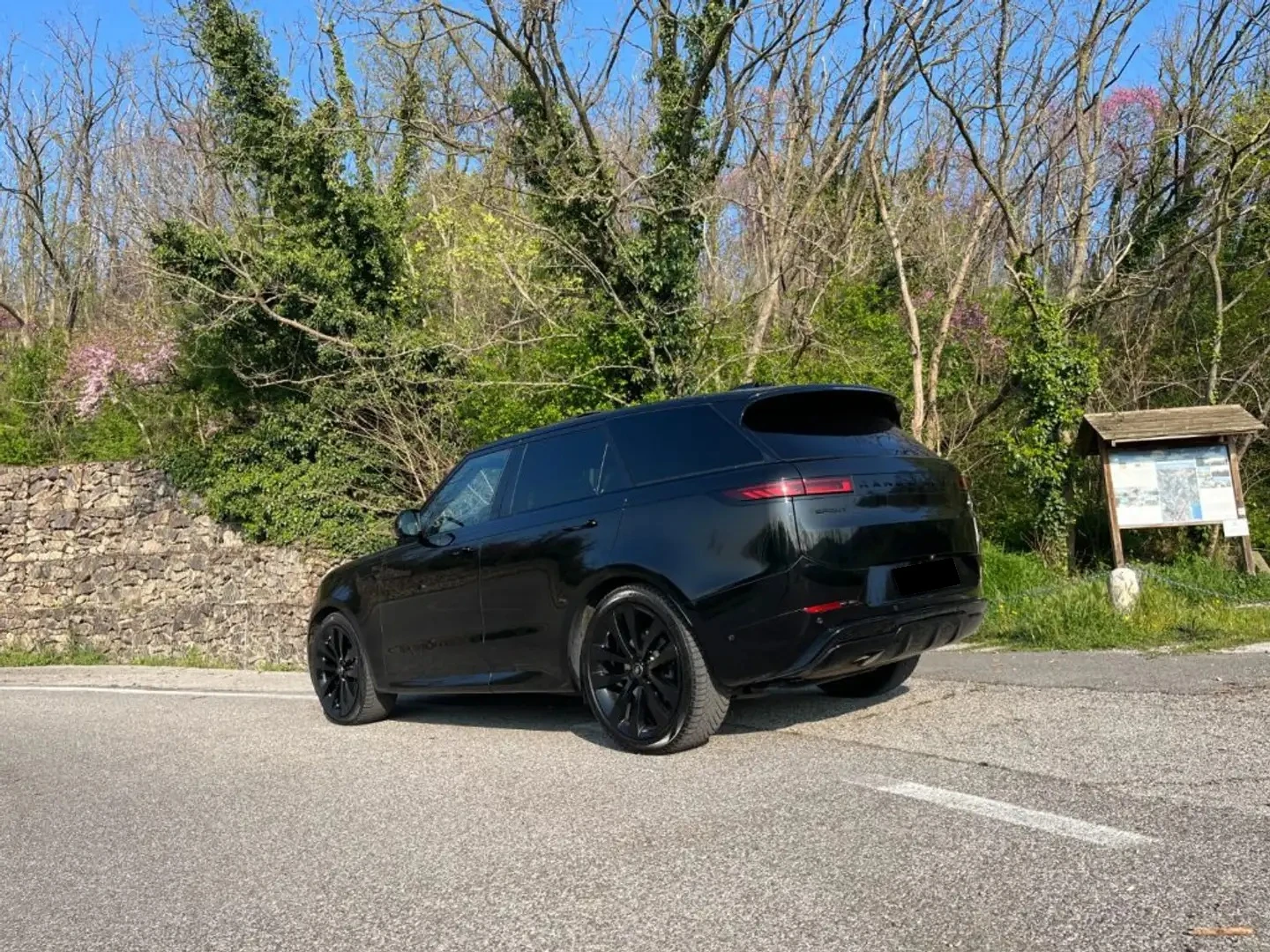 Land Rover Range Rover Sport Sport 3.0D Dynamic SE - изображение 5