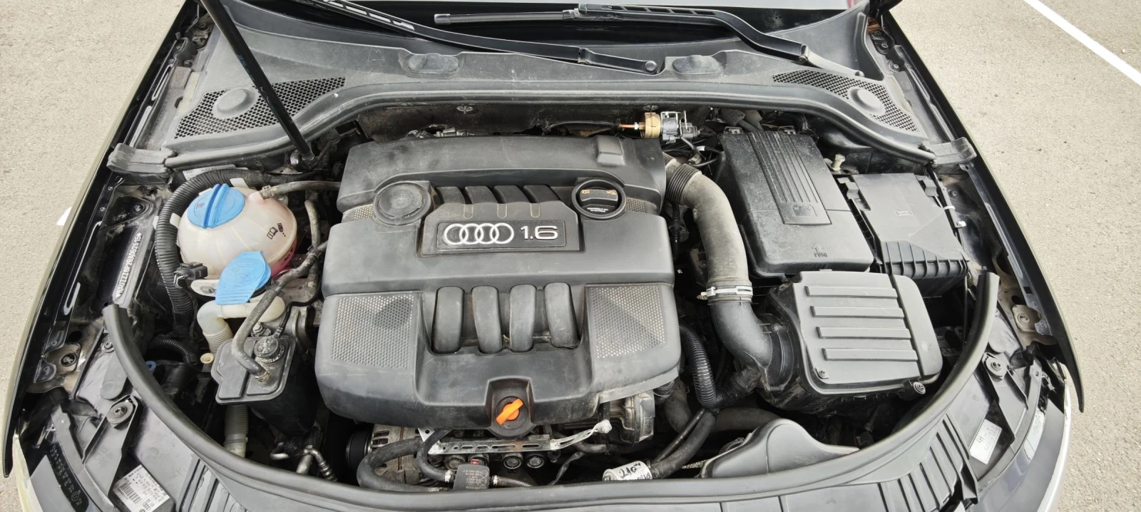 Audi A3 1.6 газ/бензин, снимка 13 - Автомобили и джипове - 55413710