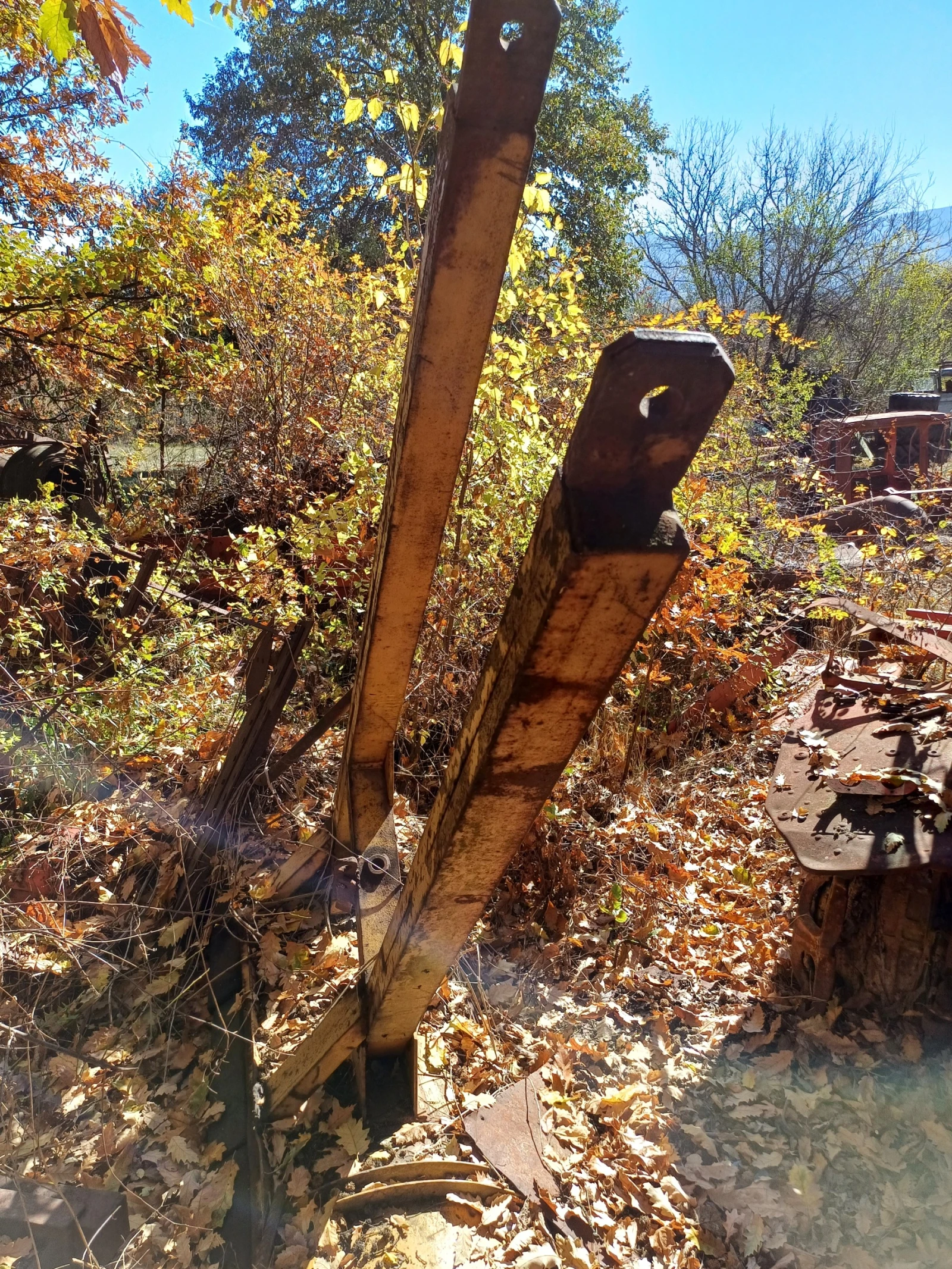 Друг вид Български Снегорини - изображение 5