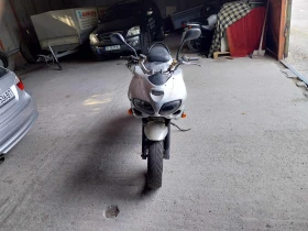  Suzuki SV