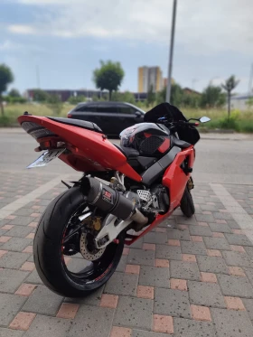 Honda Cbr 954 Fireblade RR | Mobile.bg    4