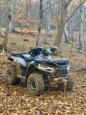 Linhai 300 EFI - изображение 1