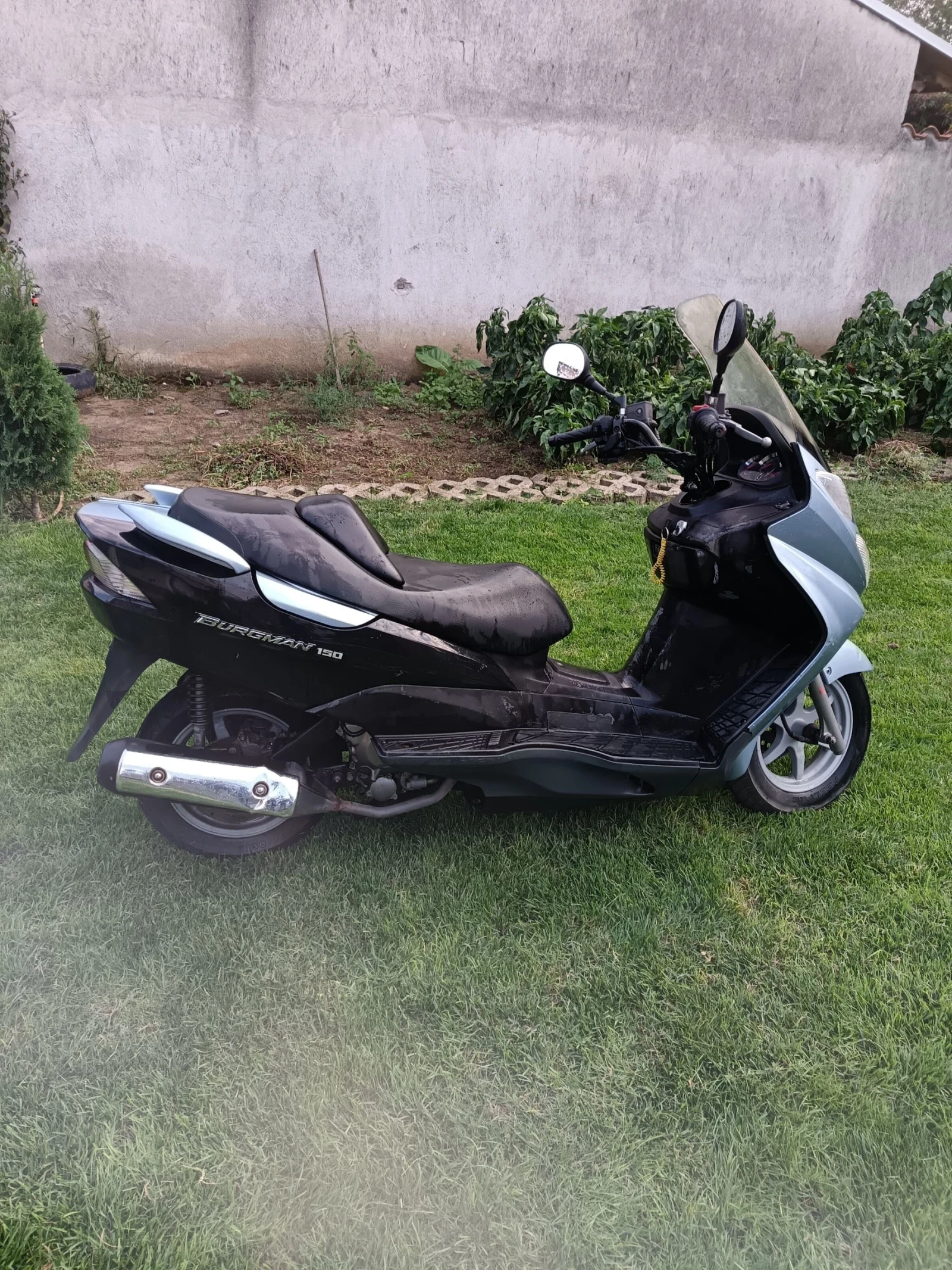 Suzuki Burgman 150 - изображение 4