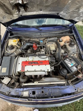 Opel Astra GSI C20XE | Mobile.bg    9