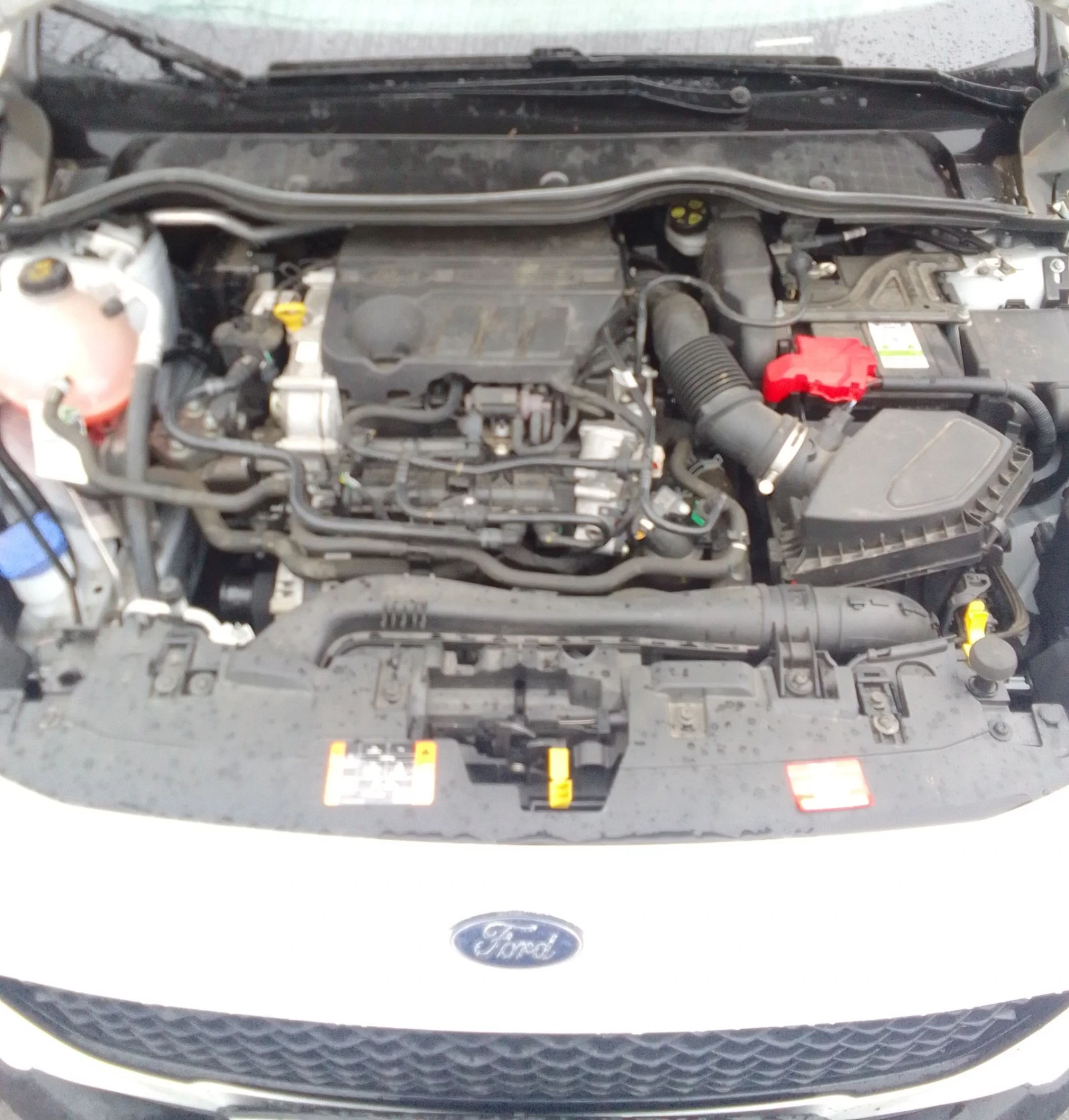 Ford Fiesta EcoBoost Active, снимка 9 - Автомобили и джипове - 53997952