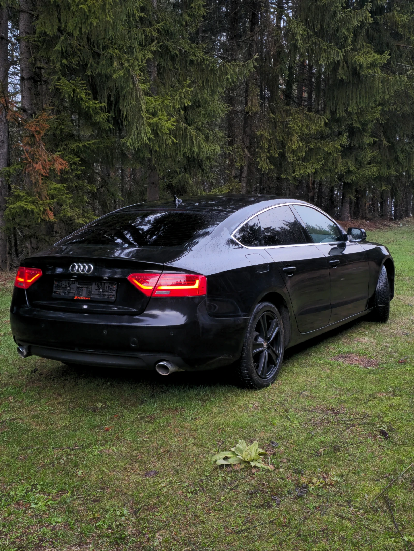 Audi A5 Sportback - изображение 6