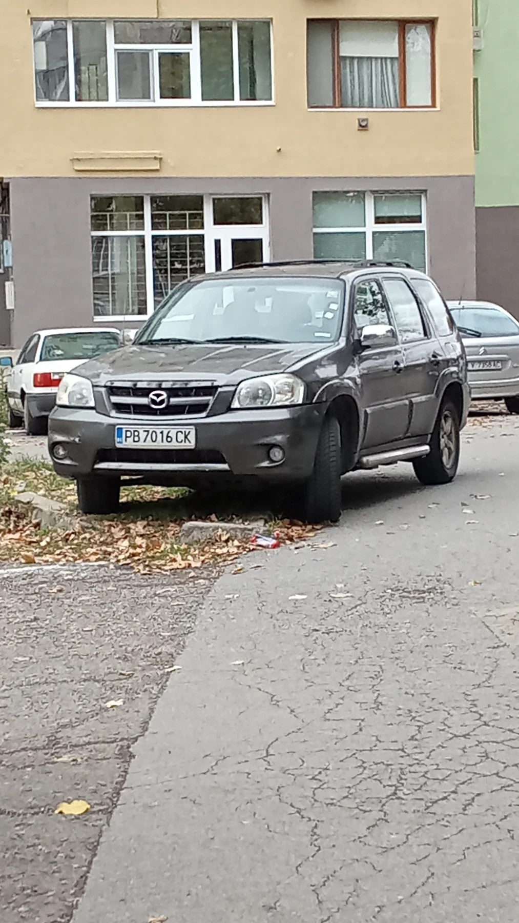 Mazda Tribute