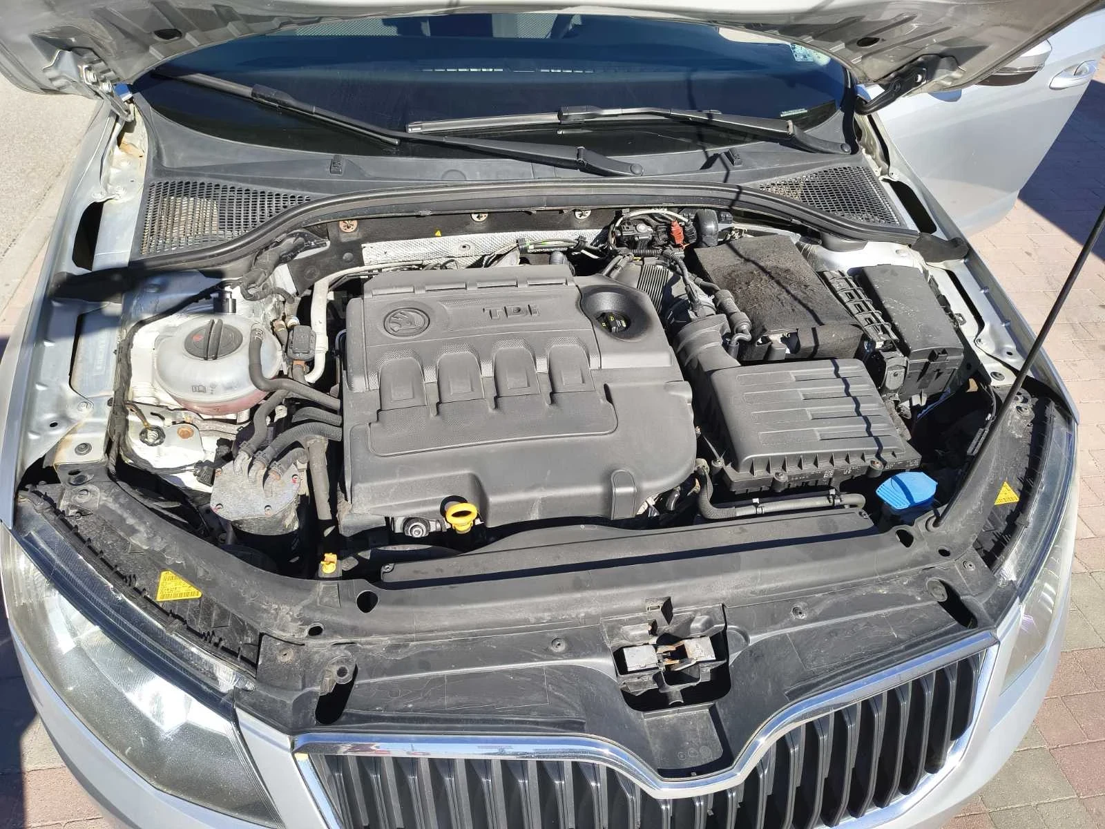 Skoda Octavia, снимка 13 - Автомобили и джипове - 54324773