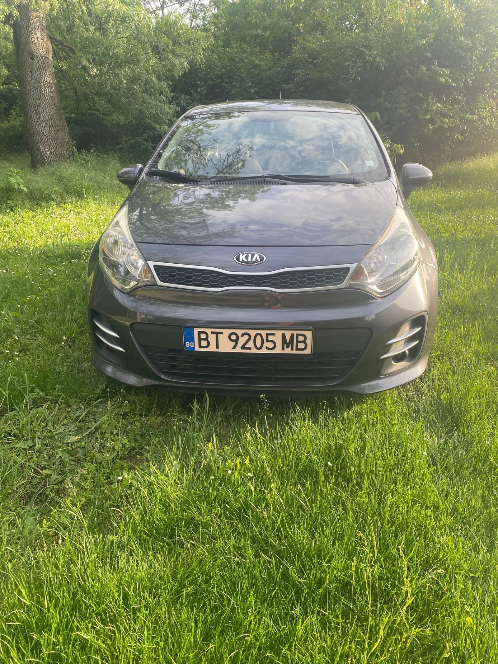Kia Rio