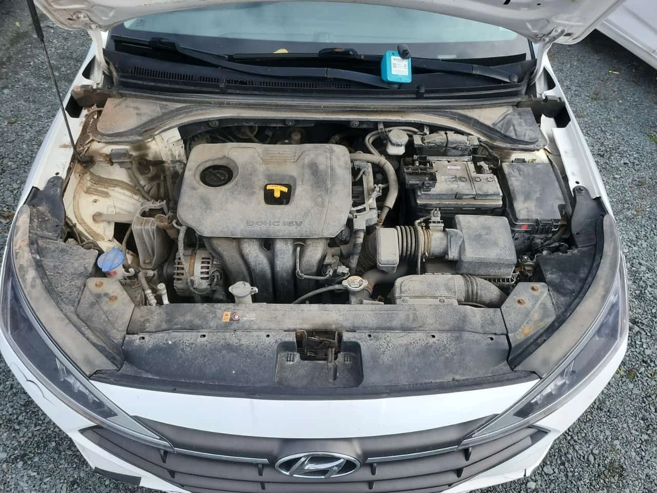 Hyundai Elantra * Manual Essential * CARFAX *  | Mobile.bg � ����������� 17