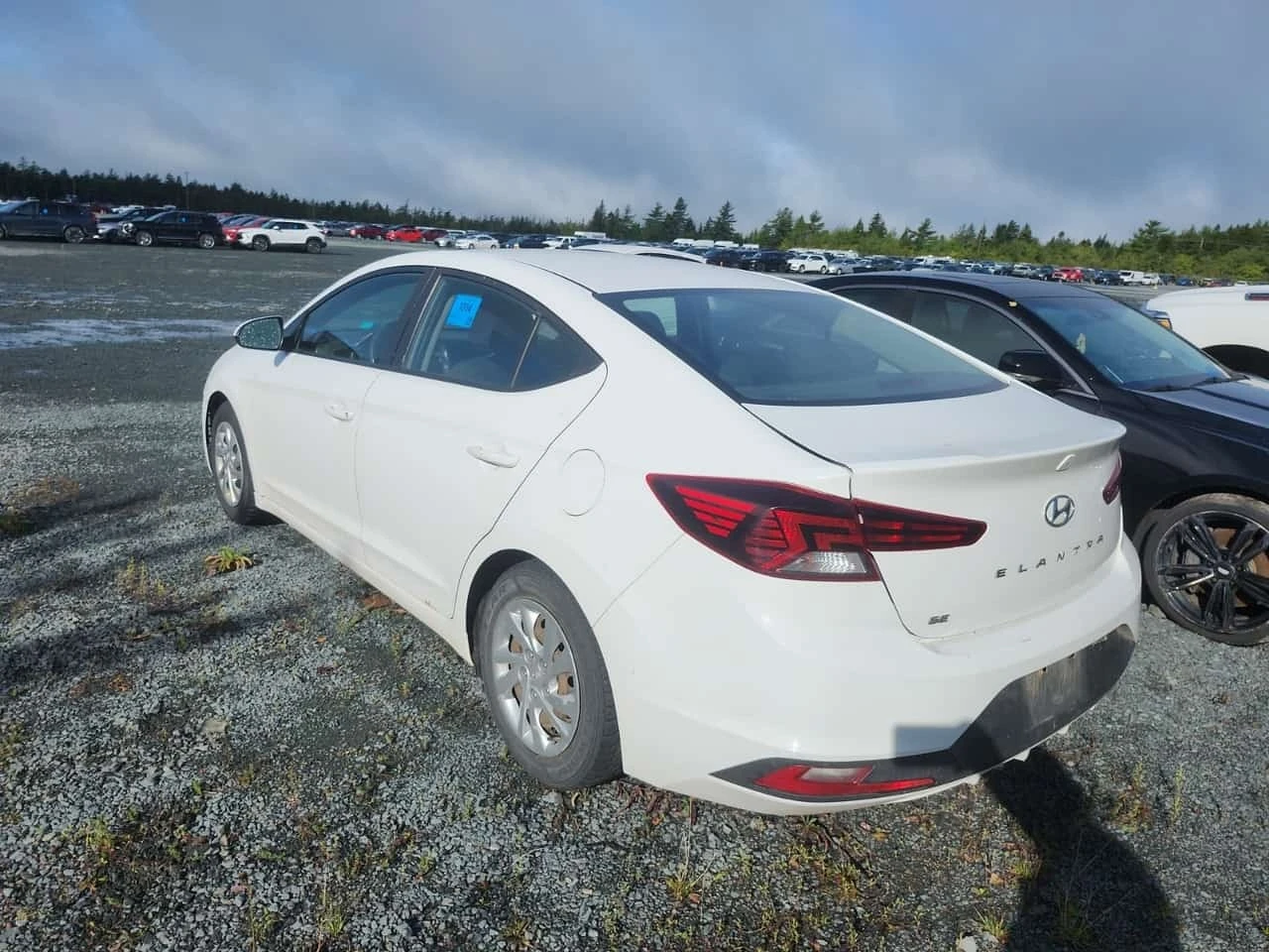 Hyundai Elantra * Manual Essential * CARFAX *  | Mobile.bg � ����������� 4