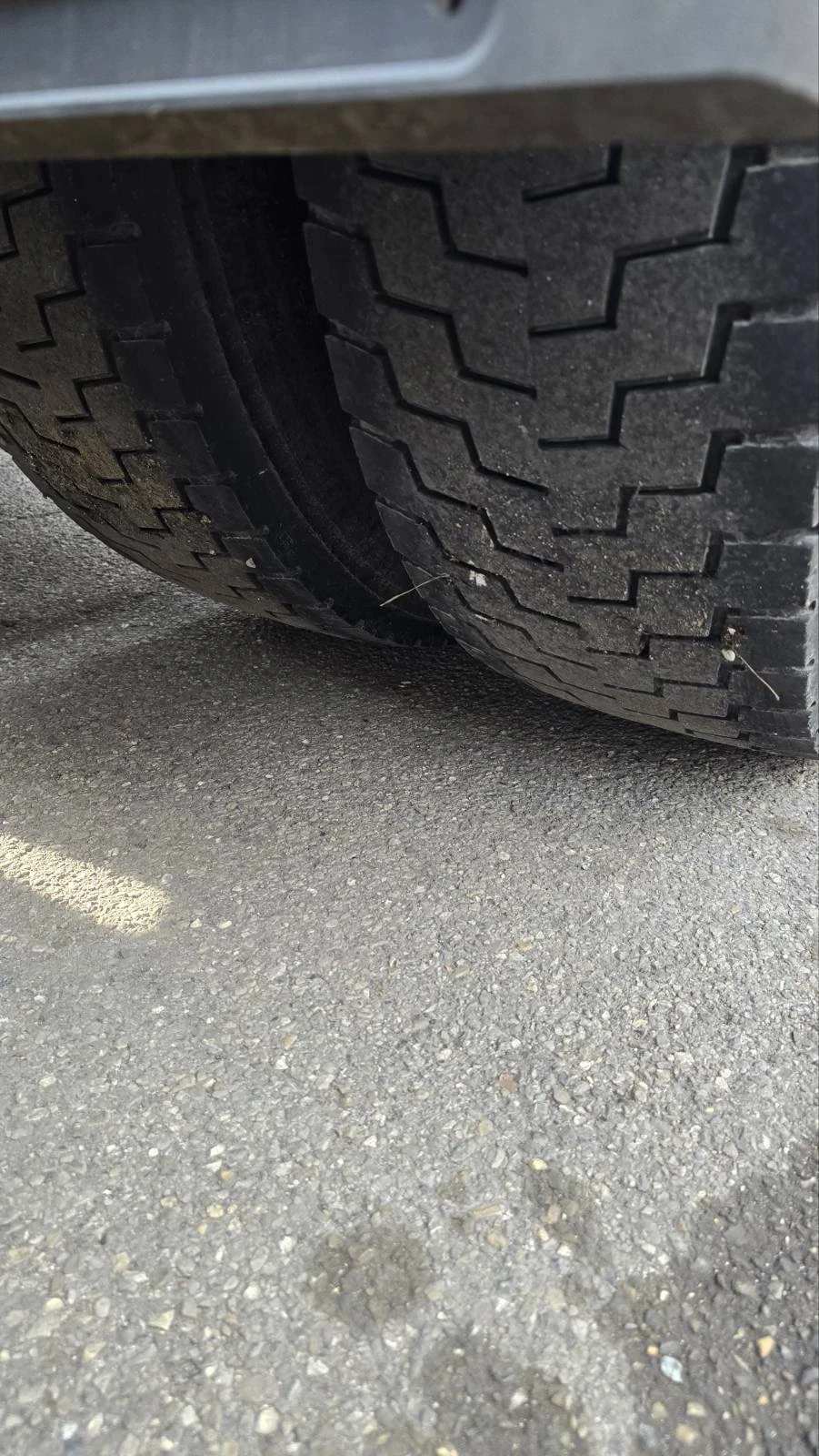 Man Tgx 18.480 / ���� 6  / �������.����� / ADR | Mobile.bg � ����������� 11