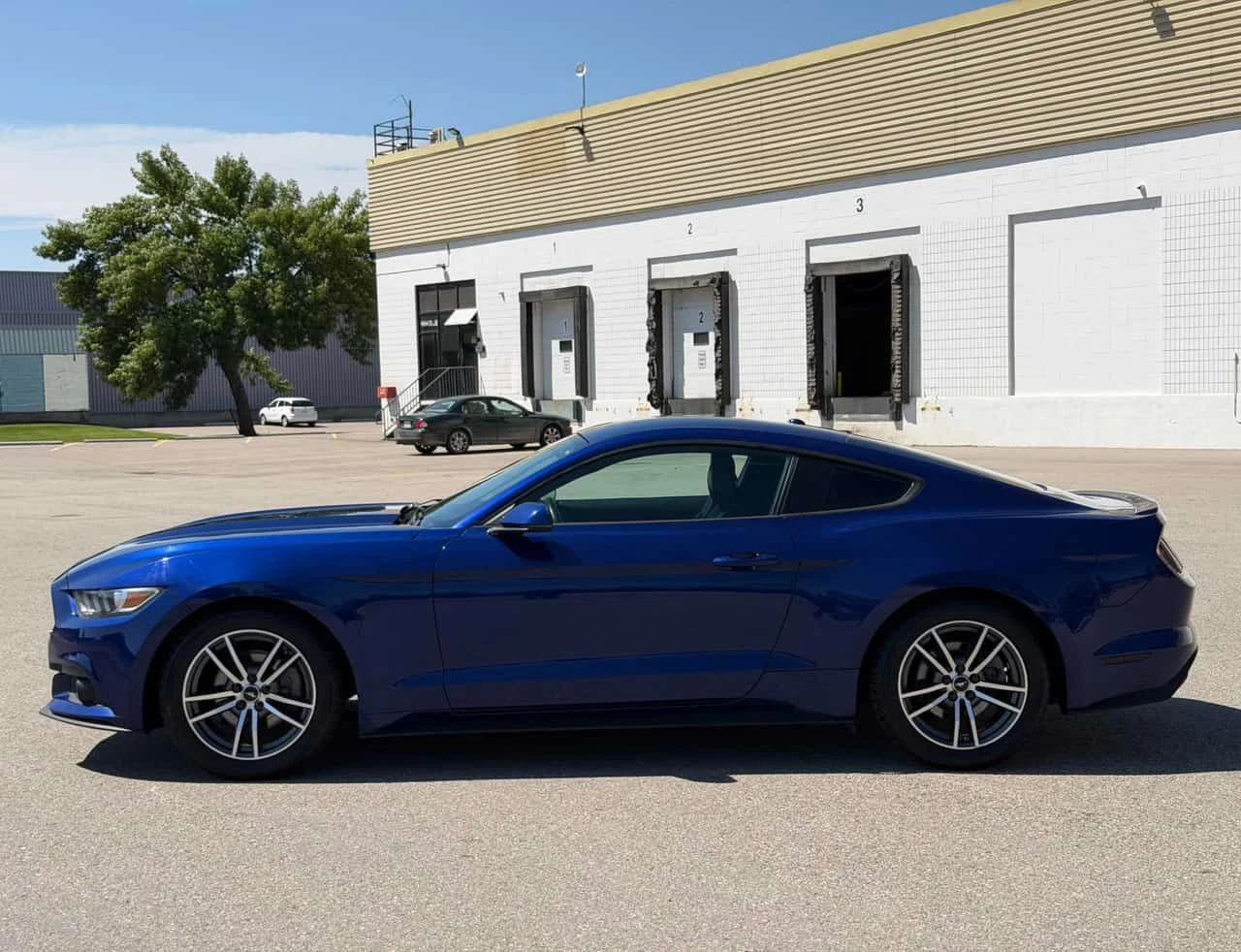 Ford Mustang * EcoBoost * CARFAX * БЕЗ ПЪРВОНАЧАЛНА ВНОСКА, снимка 2 - Автомобили и джипове - 55538149