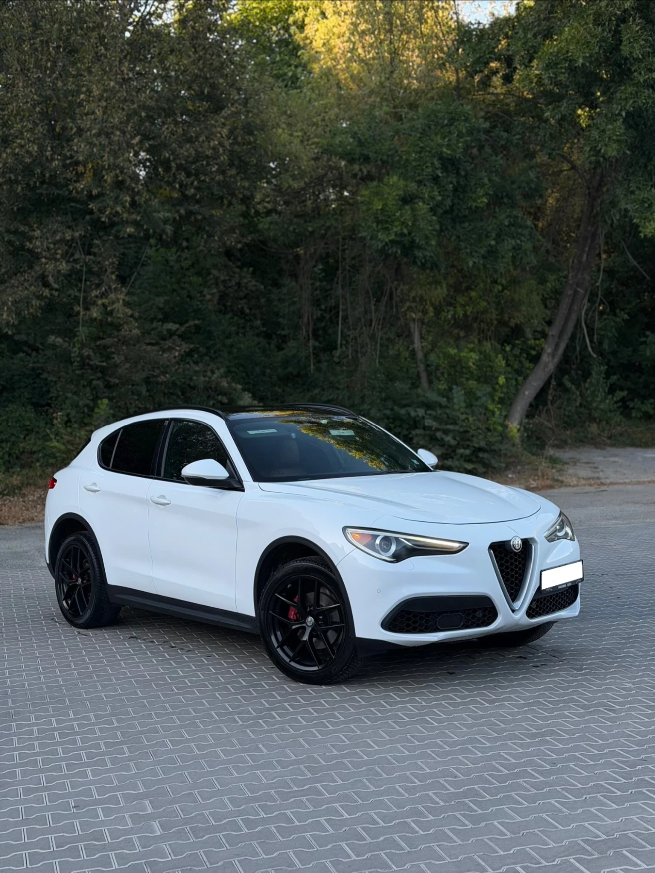 Alfa Romeo Stelvio 2.0T TI Sport